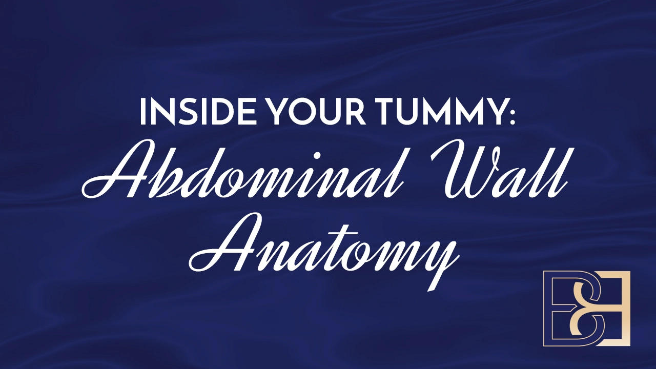 Inside Your Tummy: Abdominal Wall Anatomy
