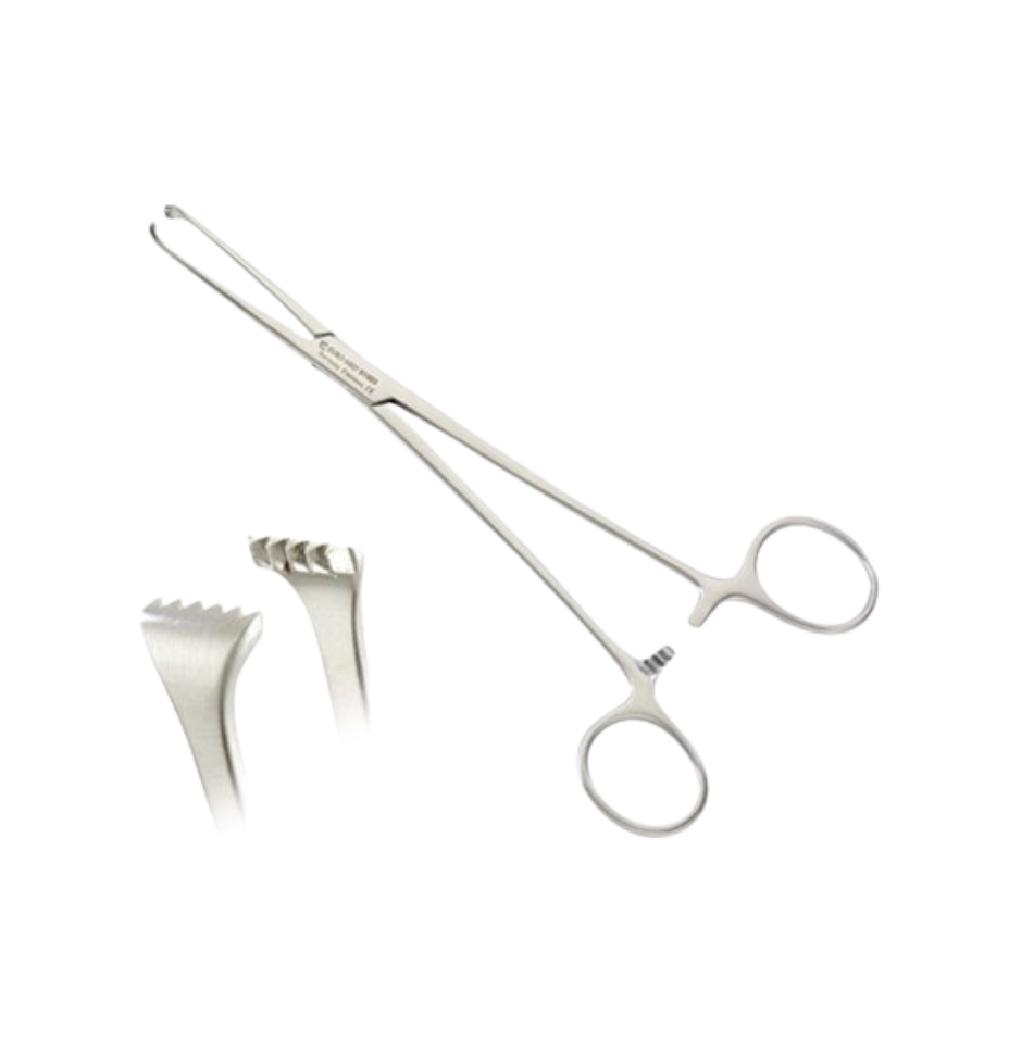 Allis tissue forceps