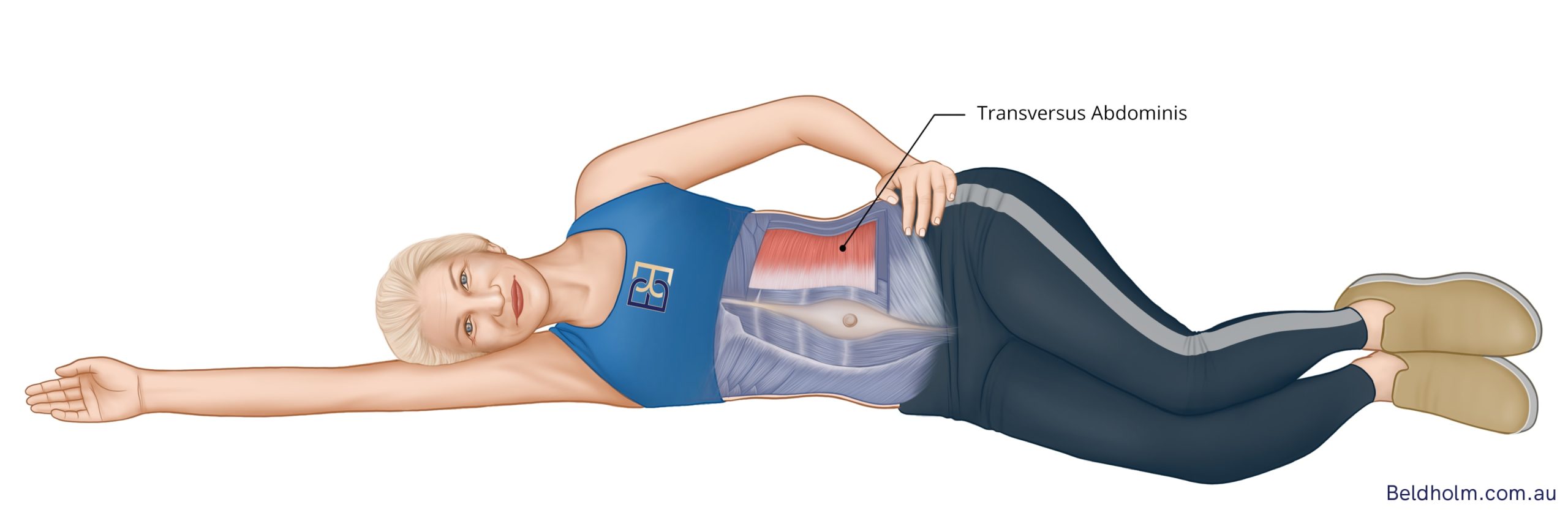 A diagram showing how to engage the transverse abdominis during exercises.