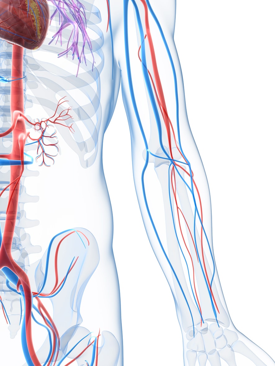 chronic exertional compartment syndrome