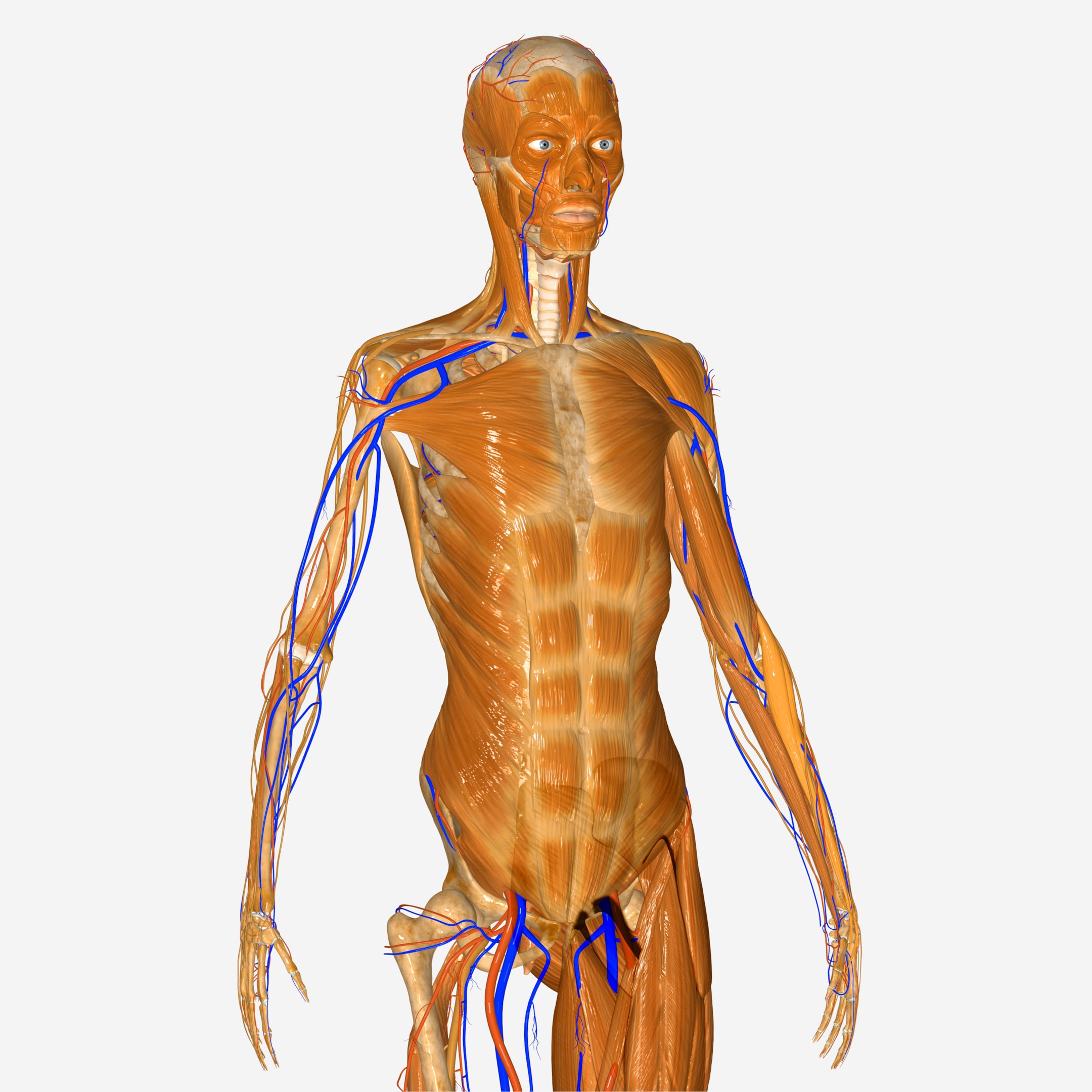 chronic exertional compartment syndrome