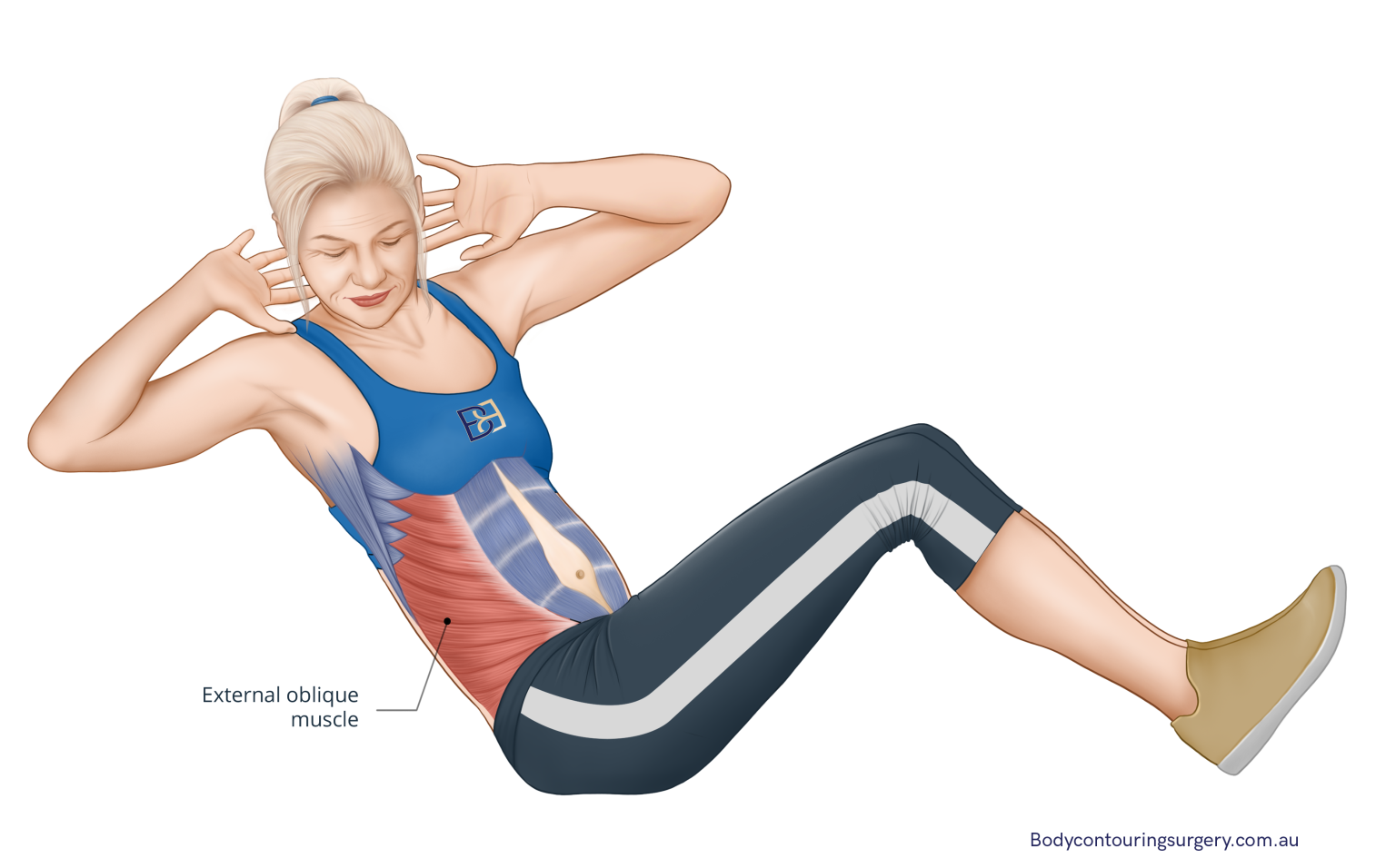 Muscles In Side Comprehensive Guide to Abdominal Wall Anatomy