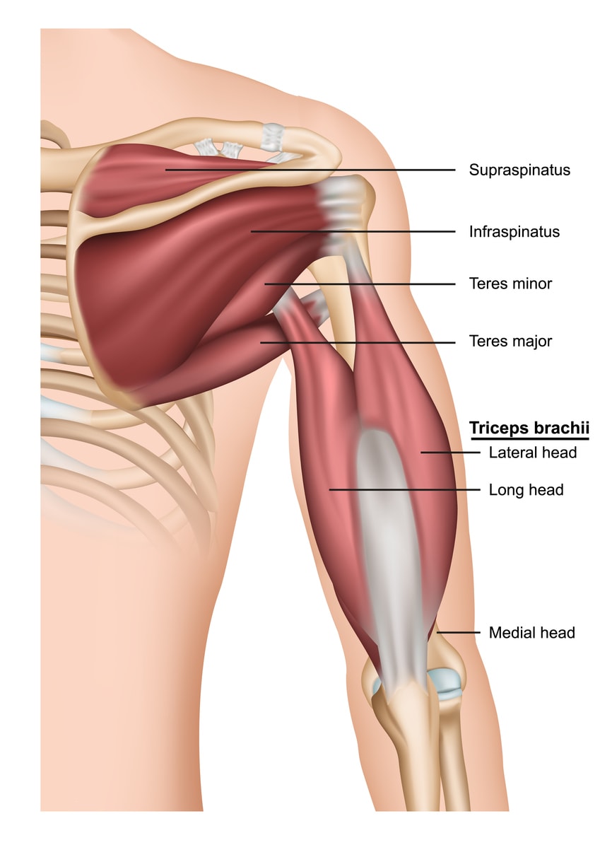 posterior compartment syndrome