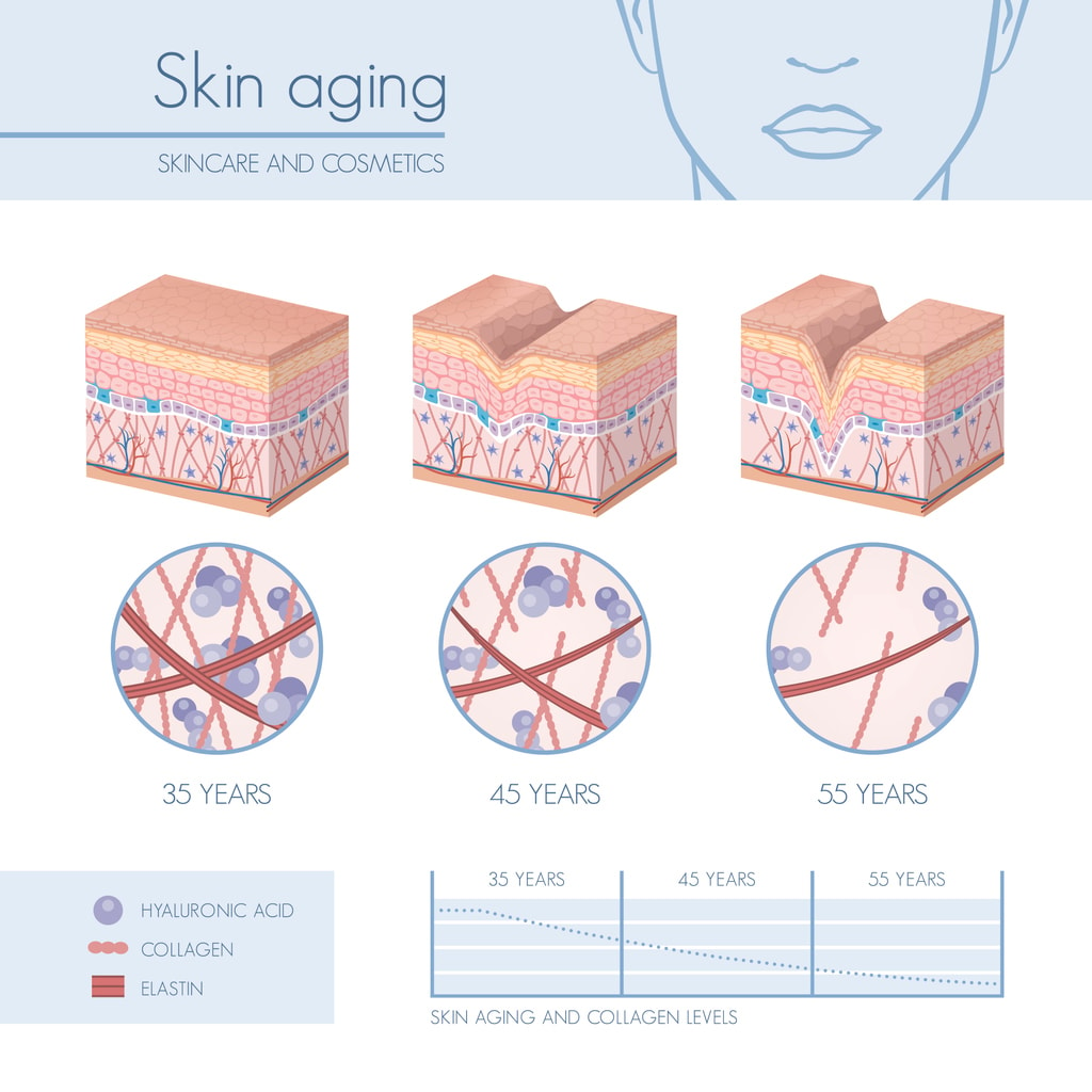 Skin ageing over time | Dr Beldholm