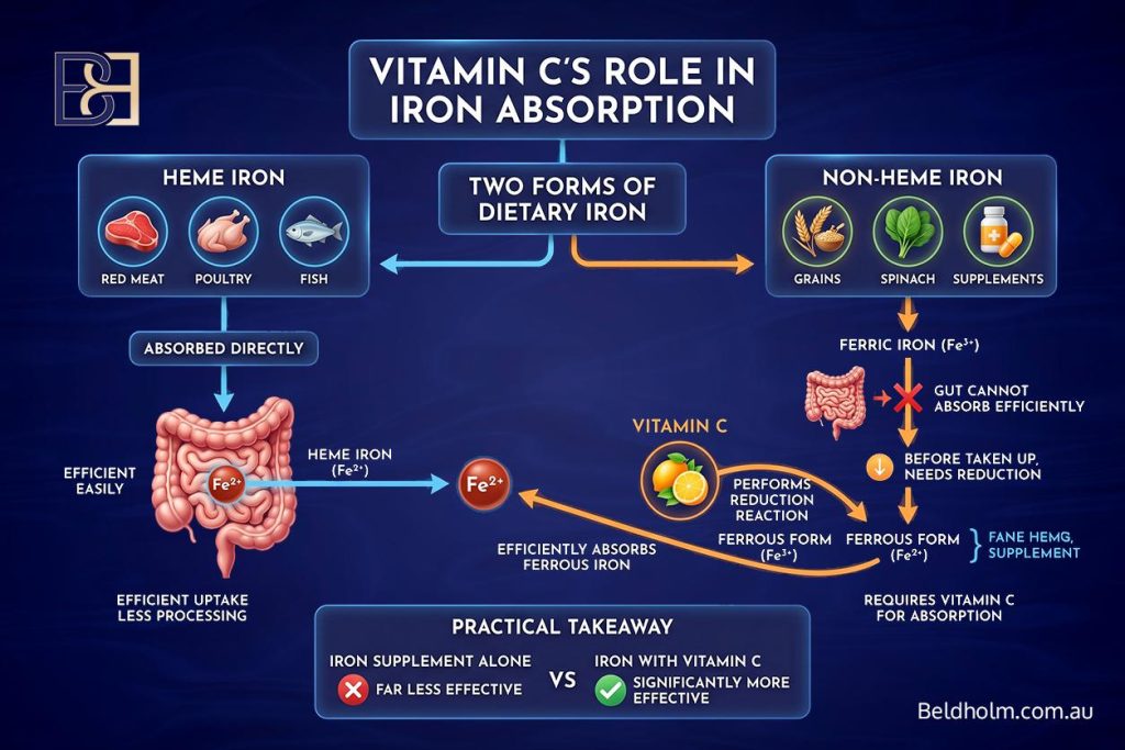 Vitamin C (Ascorbic Acid) Before and After Body Contouring Surgery: Collagen, Iron, and Wound Healing After Weight Loss 8 Non-heme iron absorption
