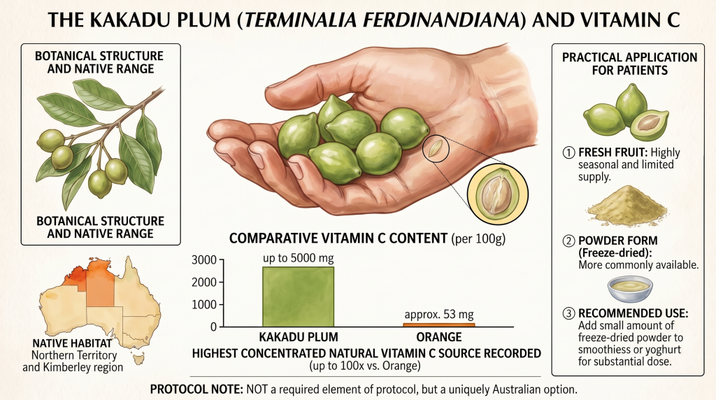 Vitamin C (Ascorbic Acid) Before and After Body Contouring Surgery: Collagen, Iron, and Wound Healing After Weight Loss 29 The headline fact: Kakadu plum