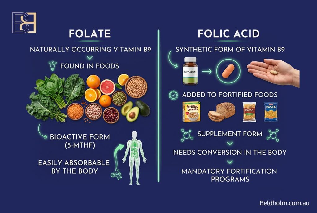 What Is Folate? What Is Folic Acid?