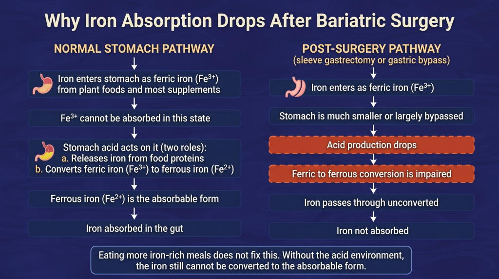 Loss of the main absorption site in gastric bypass