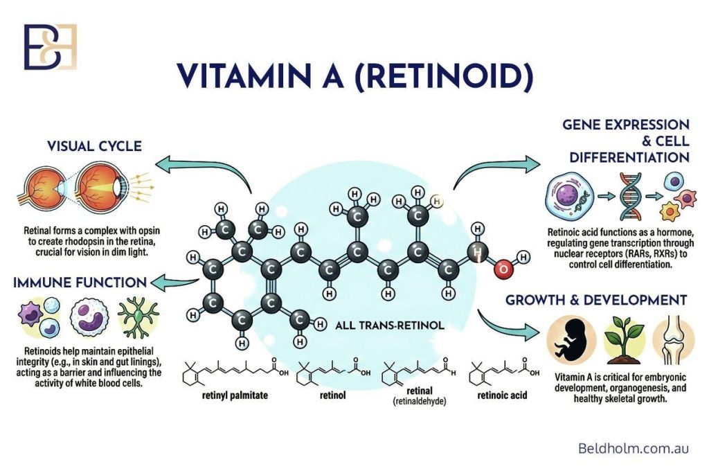 Vitamin A retinoid