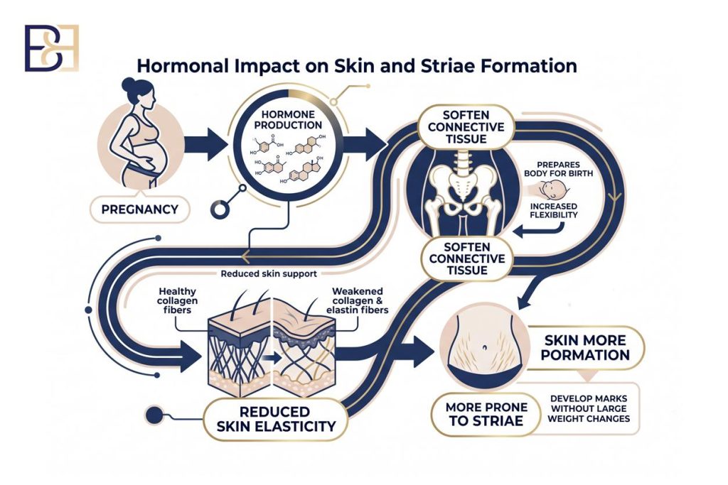 Stretch Marks After Pregnancy: What Helps Your Skin and Where Abdominoplasty (Tummy Tuck) Fits 4 Hormonal Impact on Skin